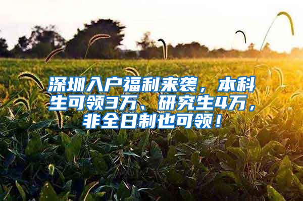 深圳入户福利来袭，本科生可领3万、研究生4万，非全日制也可领！