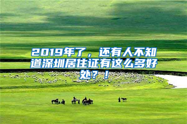 2019年了，还有人不知道深圳居住证有这么多好处？！