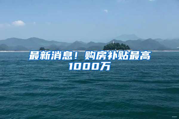 最新消息！购房补贴最高1000万