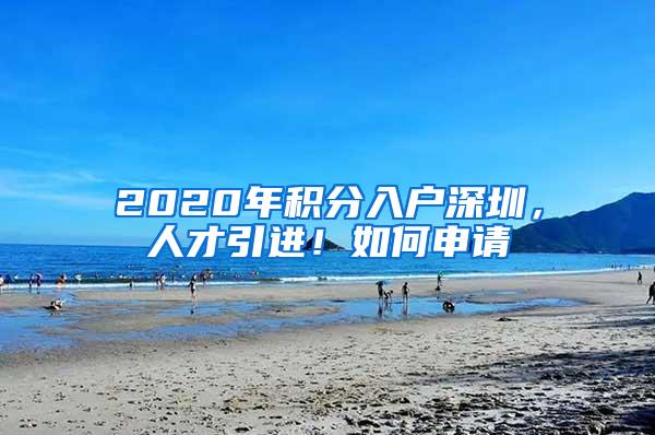 2020年积分入户深圳，人才引进！如何申请