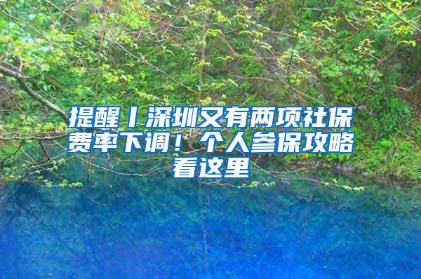 提醒丨深圳又有两项社保费率下调！个人参保攻略看这里