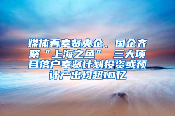 媒体看奉贤央企、国企齐聚“上海之鱼” 三大项目落户奉贤计划投资或预计产出均超10亿