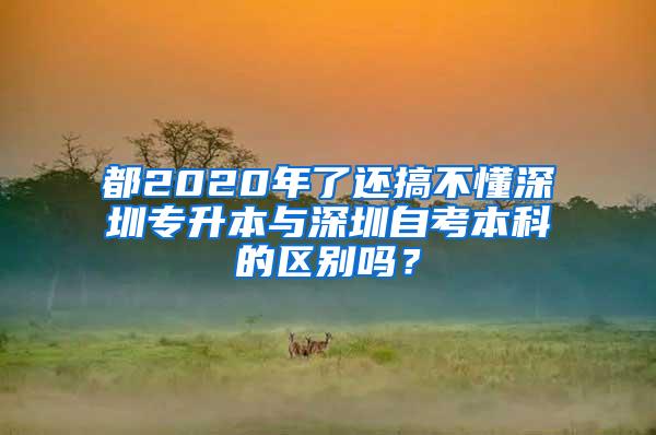 都2020年了还搞不懂深圳专升本与深圳自考本科的区别吗？