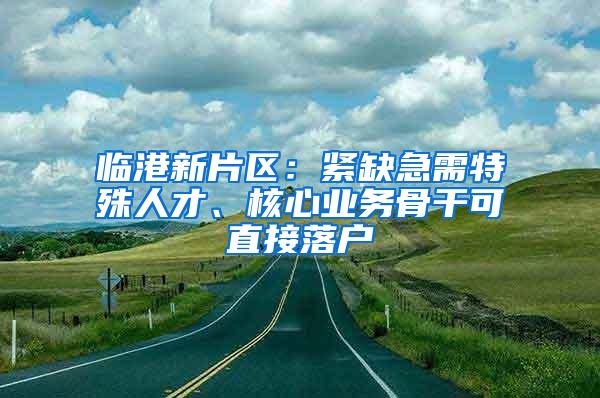 临港新片区：紧缺急需特殊人才、核心业务骨干可直接落户