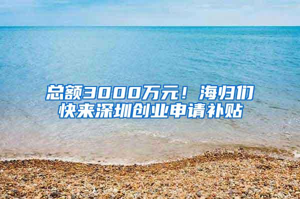 总额3000万元！海归们快来深圳创业申请补贴