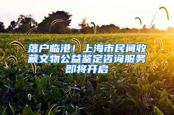 落户临港！上海市民间收藏文物公益鉴定咨询服务即将开启