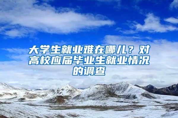 大学生就业难在哪儿？对高校应届毕业生就业情况的调查