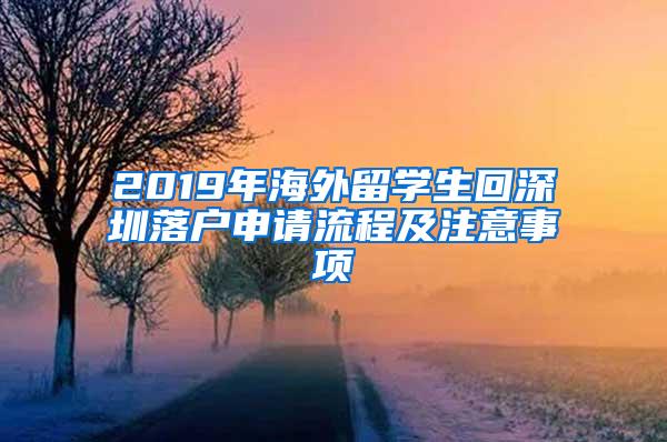 2019年海外留学生回深圳落户申请流程及注意事项