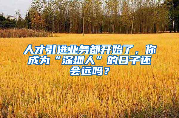 人才引进业务都开始了，你成为“深圳人”的日子还会远吗？