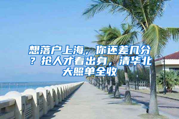 想落户上海，你还差几分？抢人才看出身，清华北大照单全收