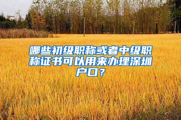 哪些初级职称或者中级职称证书可以用来办理深圳户口？