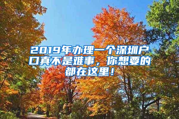 2019年办理一个深圳户口真不是难事，你想要的都在这里！