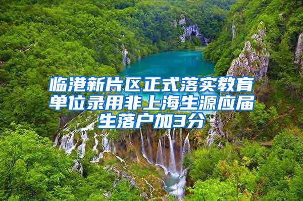 临港新片区正式落实教育单位录用非上海生源应届生落户加3分