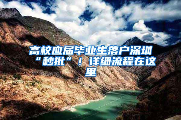 高校应届毕业生落户深圳“秒批”！详细流程在这里