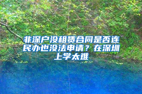 非深户没租赁合同是否连民办也没法申请？在深圳上学太难