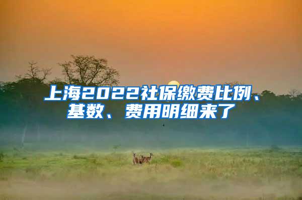 上海2022社保缴费比例、基数、费用明细来了