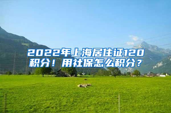 2022年上海居住证120积分！用社保怎么积分？