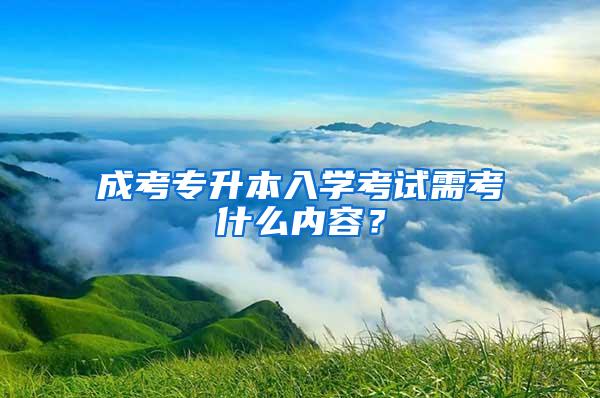 成考专升本入学考试需考什么内容？