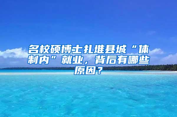 名校硕博士扎堆县城“体制内”就业，背后有哪些原因？