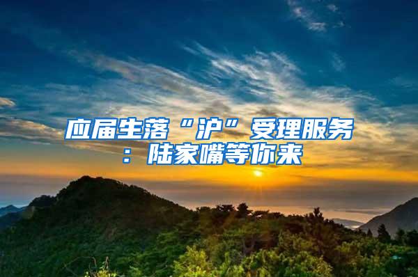 应届生落“沪”受理服务：陆家嘴等你来