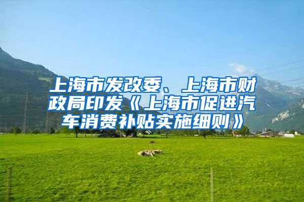 上海市发改委、上海市财政局印发《上海市促进汽车消费补贴实施细则》