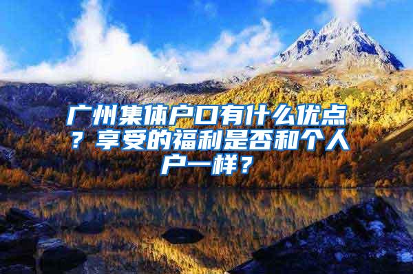 广州集体户口有什么优点？享受的福利是否和个人户一样？