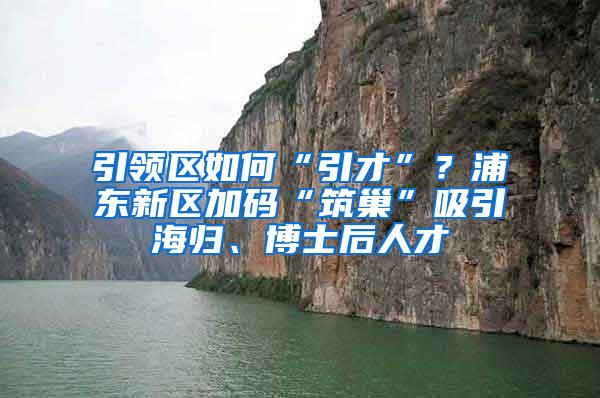 引领区如何“引才”？浦东新区加码“筑巢”吸引海归、博士后人才