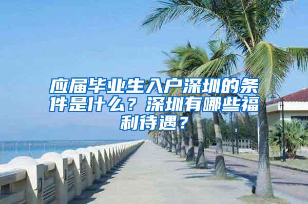 应届毕业生入户深圳的条件是什么？深圳有哪些福利待遇？