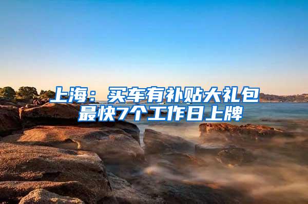 上海：买车有补贴大礼包 最快7个工作日上牌