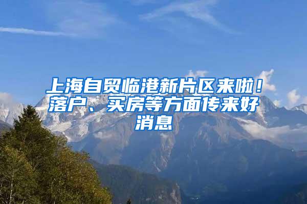 上海自贸临港新片区来啦！落户、买房等方面传来好消息