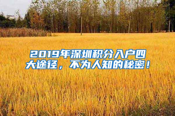 2019年深圳积分入户四大途径，不为人知的秘密！