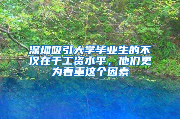 深圳吸引大学毕业生的不仅在于工资水平，他们更为看重这个因素