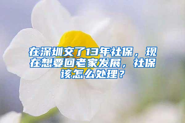 在深圳交了13年社保，现在想要回老家发展，社保该怎么处理？