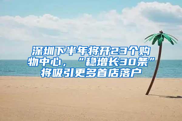 深圳下半年将开23个购物中心，“稳增长30条”将吸引更多首店落户