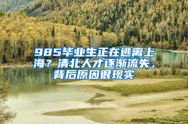 985毕业生正在逃离上海？清北人才逐渐流失，背后原因很现实