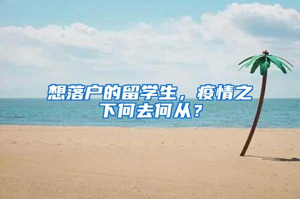 想落户的留学生，疫情之下何去何从？