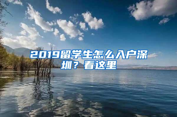 2019留学生怎么入户深圳？看这里