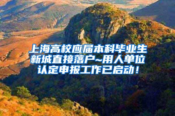 上海高校应届本科毕业生新城直接落户~用人单位认定申报工作已启动！