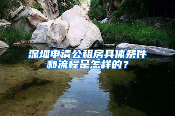 深圳申请公租房具体条件和流程是怎样的？