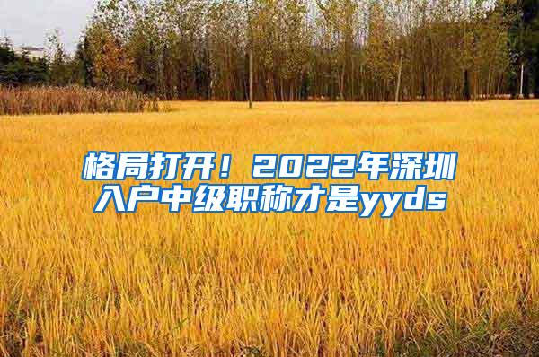 格局打开！2022年深圳入户中级职称才是yyds