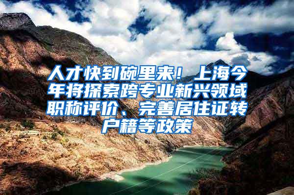 人才快到碗里来！上海今年将探索跨专业新兴领域职称评价、完善居住证转户籍等政策