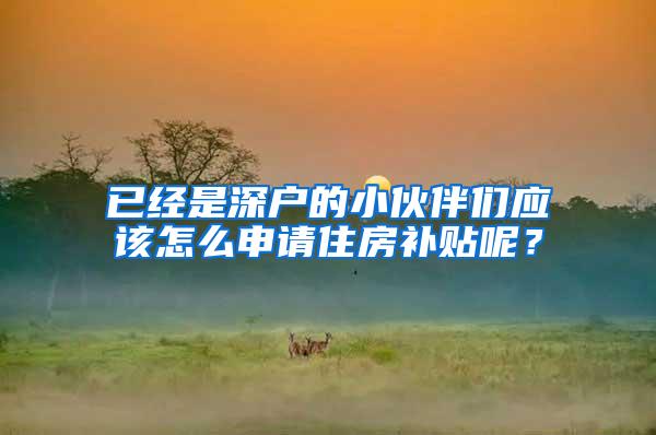 已经是深户的小伙伴们应该怎么申请住房补贴呢？