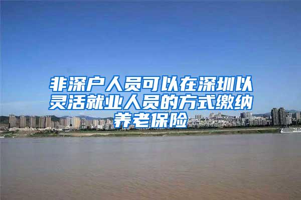 非深户人员可以在深圳以灵活就业人员的方式缴纳养老保险