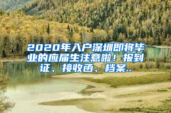 2020年入户深圳即将毕业的应届生注意啦！报到证、接收函、档案..