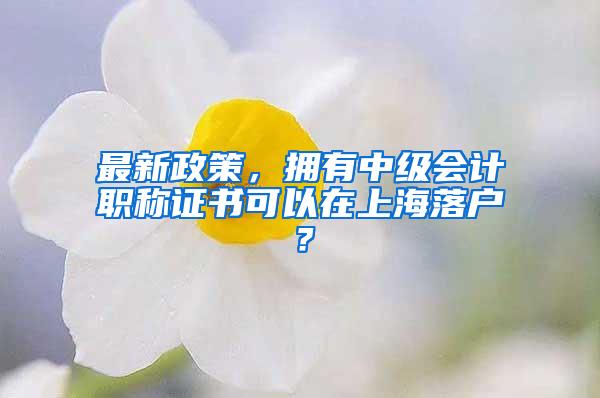 最新政策，拥有中级会计职称证书可以在上海落户？