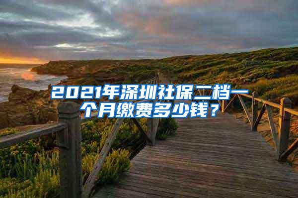 2021年深圳社保二档一个月缴费多少钱？