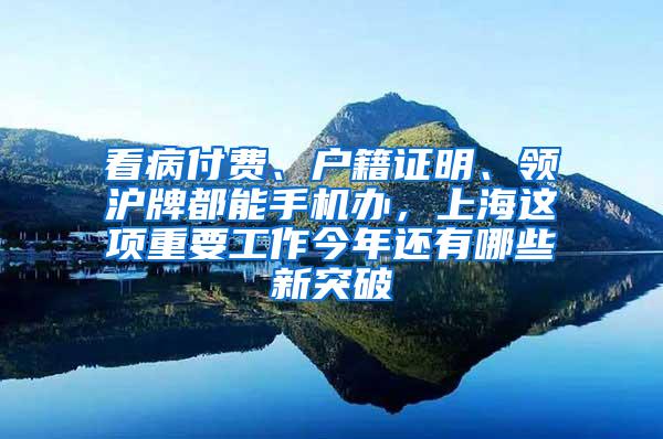 看病付费、户籍证明、领沪牌都能手机办，上海这项重要工作今年还有哪些新突破