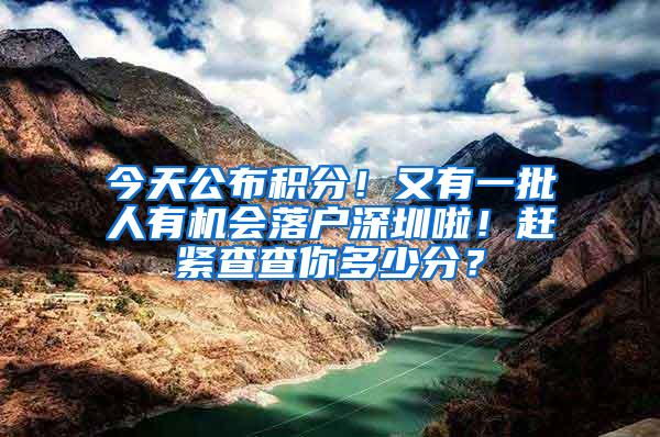 今天公布积分！又有一批人有机会落户深圳啦！赶紧查查你多少分？