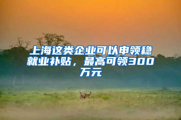 上海这类企业可以申领稳就业补贴，最高可领300万元