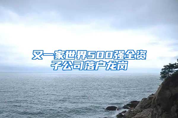 又一家世界500强全资子公司落户龙岗